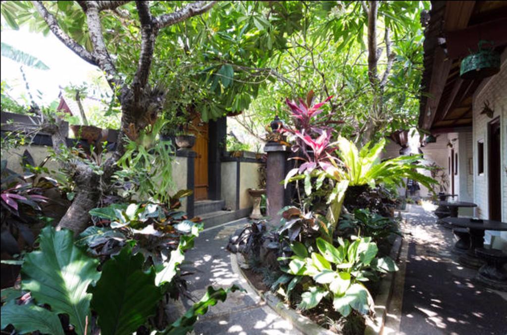 New Danas Canggu Guest House เกอโรโบกัน ภายนอก รูปภาพ